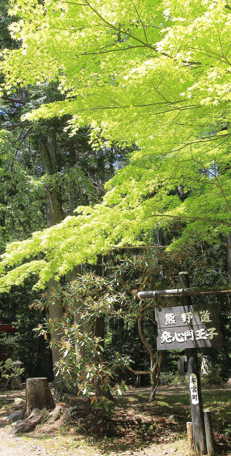 今すぐ熊野古道のメタバースを体験する ますます広がる、紀伊半島・熊野三山をメタバースで巡る旅！